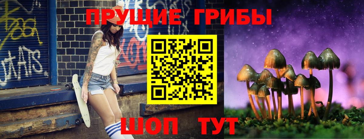 Галлюциногенные грибы Cubensis Дедовск