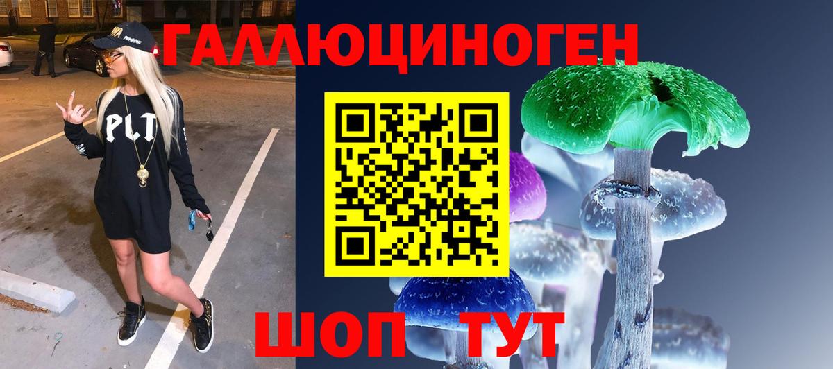 Псилоцибиновые грибы MAGIC MUSHROOMS  Вход с VPN  Дедовск  Псилоцибиновые грибы мицелий 